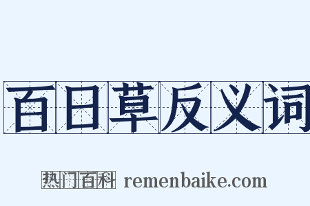 百日草反义词是什么意思的图片